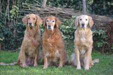 Onia Genna Und Merle Januar 2014